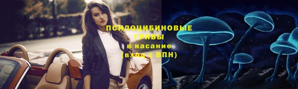 круглые Богданович
