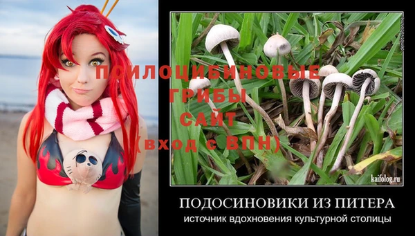 круглые Богданович