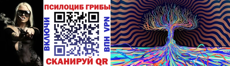Галлюциногенные грибы Psilocybe  Дмитров 